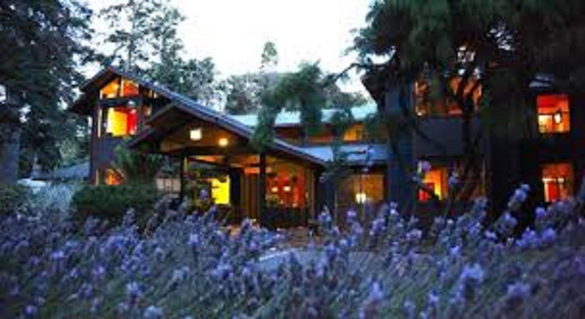 Glendeven Inn Little River Luaran gambar